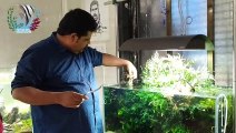 How to make Low tech, No CO2 Planted Aquarium Setup __ Easy Step by Step guide In Hindi