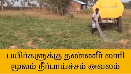 Descargar video: தி மலை: லாரி மூலம் மணிலா பயிர்களுக்கு நீர்பாய்ச்சும் அவலம்!