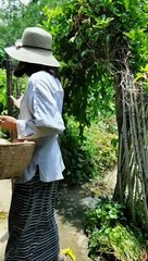 Enjoy beautiful nature with rural life