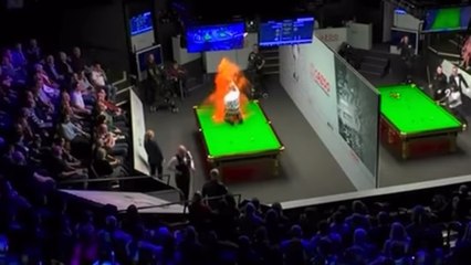 Who are Just Stop Oil and what are their objectives?