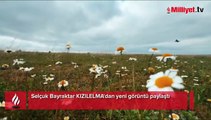 Selçuk Bayraktar KIZILELMA'dan yeni görüntü paylaştı