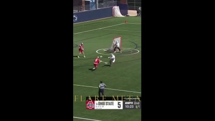 Nut Shot -  Flare Meta