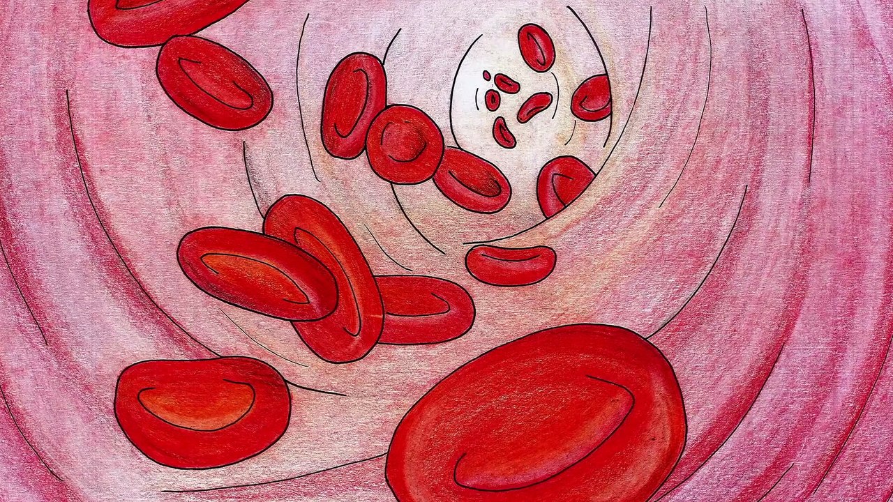 Nikotinsucht, das große Verlangen_ Was passiert durch Nikotin im Gehirn & können Schäden entstehen