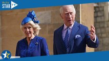 Charles et Camilla : leur supposé fils caché dévoile une troublante ressemblance…
