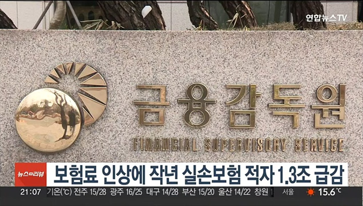 보험료 인상에 작년 실손보험 적자 1.3조 급감