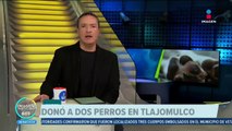 Matan a dos perritos a machetazos en Temamatla, Estado de México