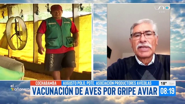 Inician vacunación contra la gripe a aves ponedoras y reproductoras en Cochabamba