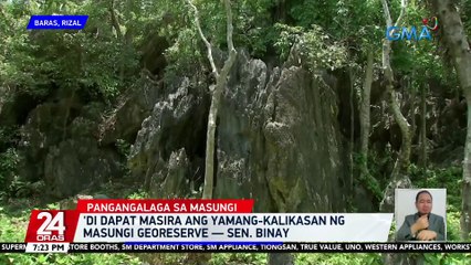 'Di dapat masira ang yamang-kalikasan ng Masungi Georeserve — Sen. Binay | 24 Oras