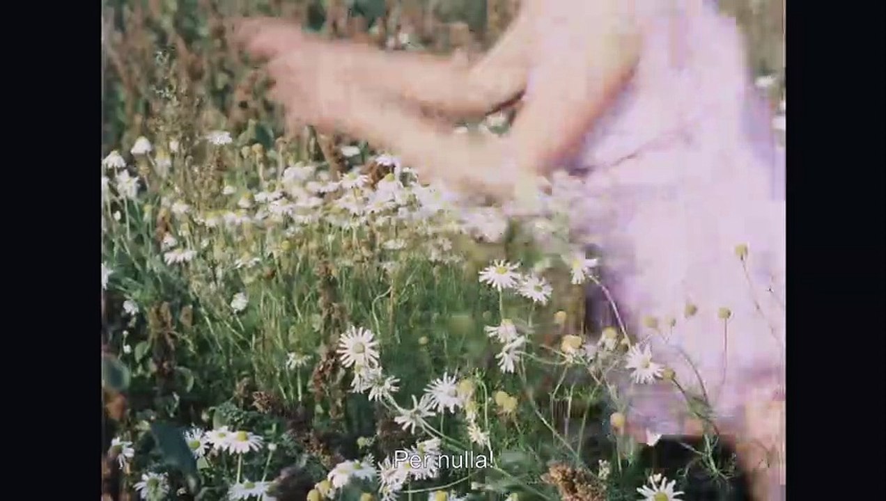 Les Petites Marguerites Bande-annonce (IT)