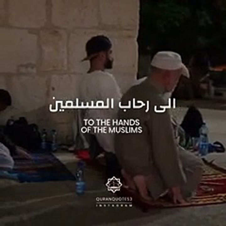 VID-20230406-WA0010