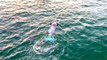 ‘Mermaid Merle’ Sets New World Record, Swimming 30 Miles and Collecting 20lbs. Of Trash