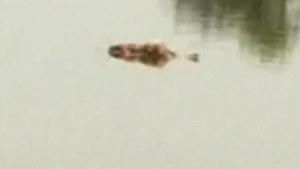 కామారెడ్డి: మహిళను దారుణంగా హత్య చేసిన దుండగులు..!