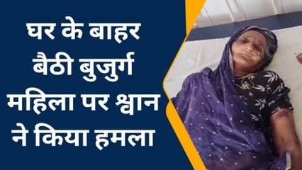 भीलवाड़ा: घर के बाहर बैठी वृद्धा पर श्‍वानों ने किया हमला, जिला अस्‍पताल में किया भर्ती