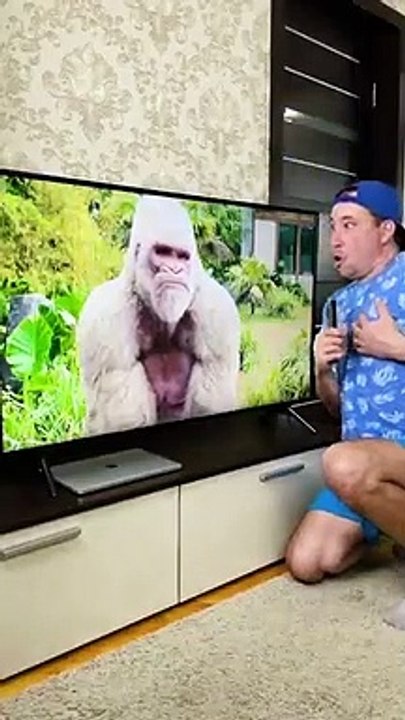 Funny_Gorilla_#shorts_#gorilla(360p)