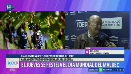 El jueves se festeja el Día Mundial del Malbec