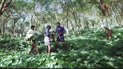 Watch the Exciting Hindi Dubbed South Indian Action Film 'Kadaseela Biriyani' 🍿