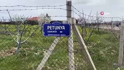 Seçim ayarlı "zam" oyunu mu? Tonlarca buğdaya neler yapmışlar neler