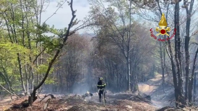 Vigili del fuoco impegnati in due incendi boschivi in Piemonte