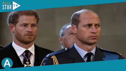 Harry et William : ce qu'ils ont prévu de faire ensemble (ou pas) au couronnement de Charles III