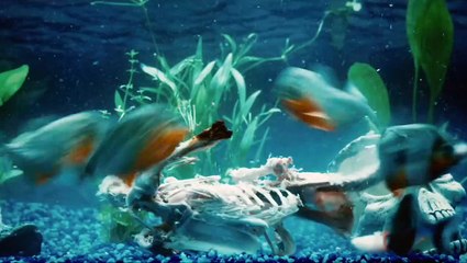 TWELVE - Bande-annonce VF