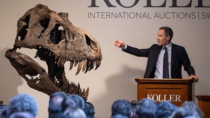 Moment T-Rex skeleton sold at auction for £4.3m in Europe first