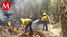 Van 14 incendios forestales en Quintana Roo en lo que va del 2023