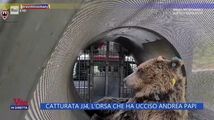 catturata l'orsa jj4, parla la fidanzata di andrea