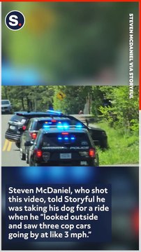 Escaped Emu Safe at Home After Police Chase in East Tennessee