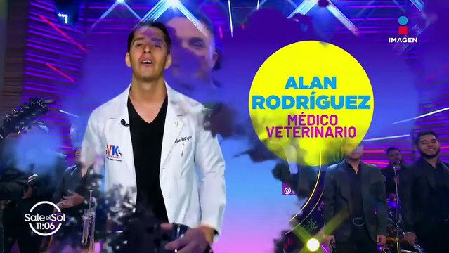 Cómo saber si tu perro está intoxicado y cómo actuar