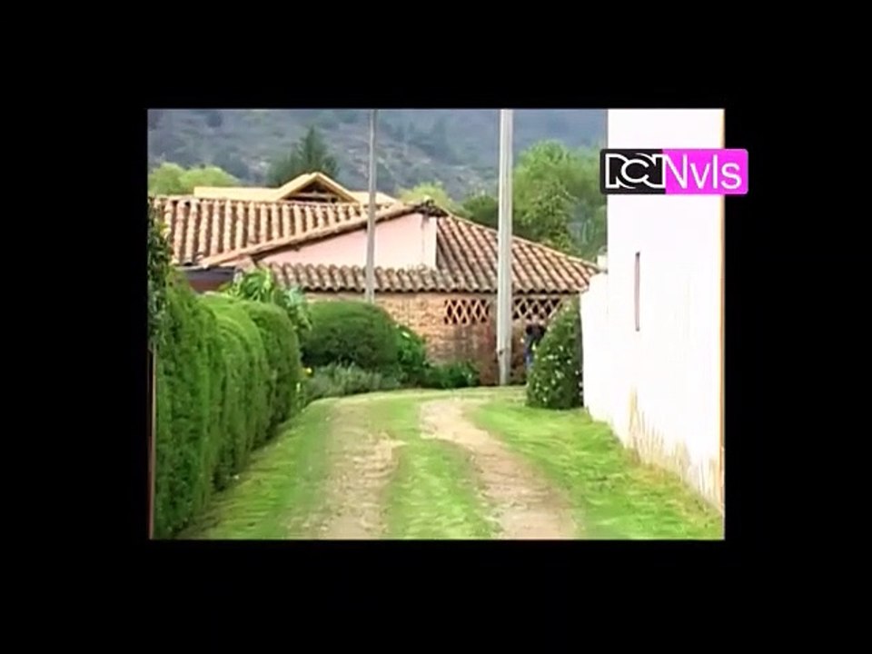 pandillas guerra y paz Cap 246
