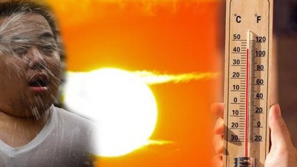 বাংলা তথা পূর্ব ভারতের রাজ্যগুলিতে তাপপ্রবাহের হাই অ্যালার্ট জারি করেছে IMD