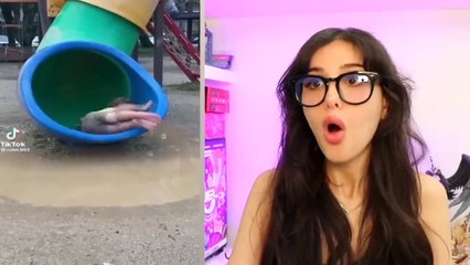 Tik Toks That Live In My Head RENT FREE (EP. 14)