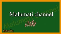 Dilchasp Islamic paheliyan in Urdu | islami Maloomati sawal jawab | Islamic question with answer