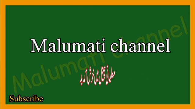 Dilchasp Islamic paheliyan in Urdu | islami Maloomati sawal jawab | Islamic question with answer