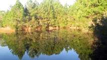 Pond Overlooking Bluffton South Carolina Neighborhood
