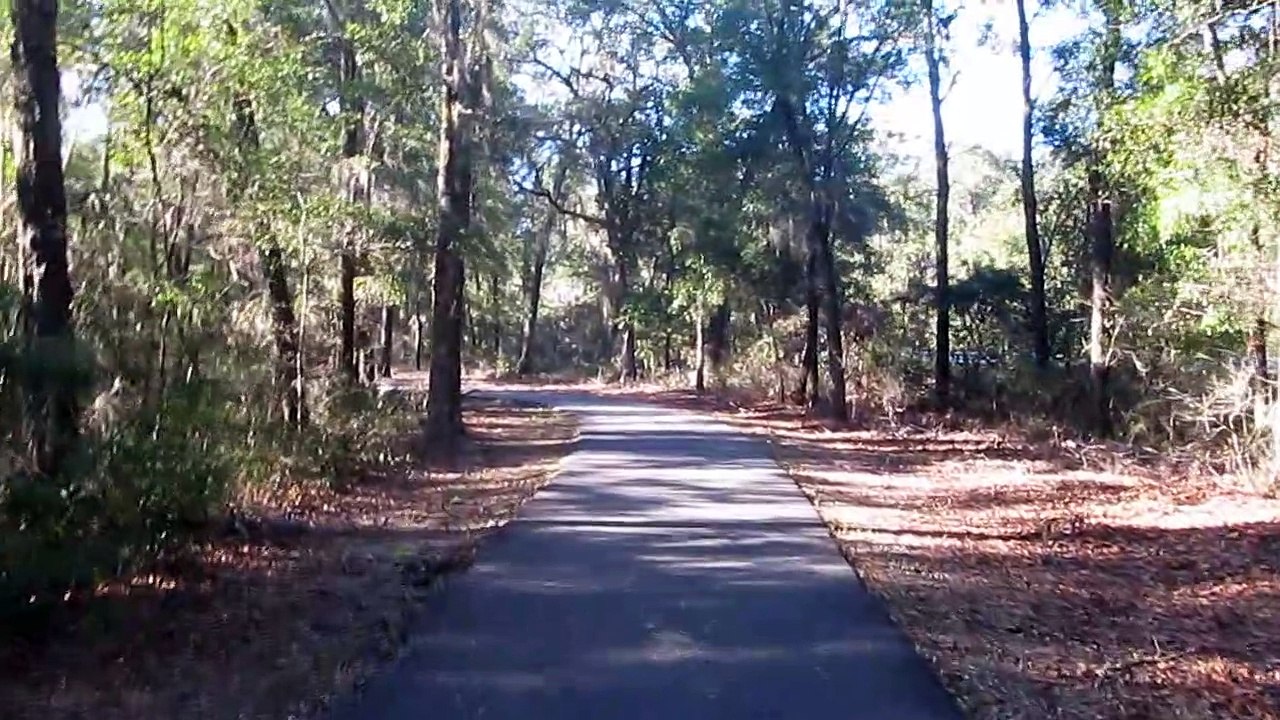 Walking Path on Christmas Day 2018