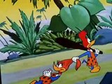 Woody Woodpecker Woody Woodpecker E078 – International Woodpecker