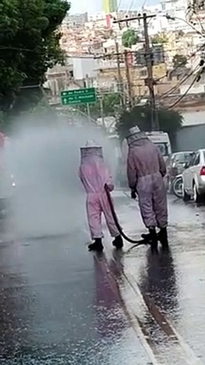 Ataque de abelhas causa pânico e deixa feridos no Carlos Prates, em BH
