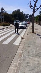 Policeman Escorts Duck Family to Safety