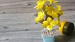 Cara mudah membuat bunga alamanda dari pita satin  (satin ribbon allamanda easy tutorial)