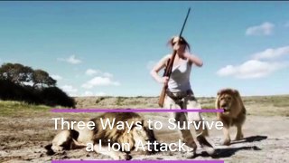 Three Ways to Survive a Lion Attack .