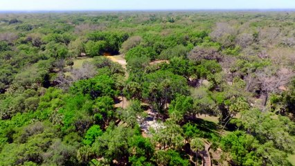 R.A.D.A.R. The Bionic Dog Trailer (2023)