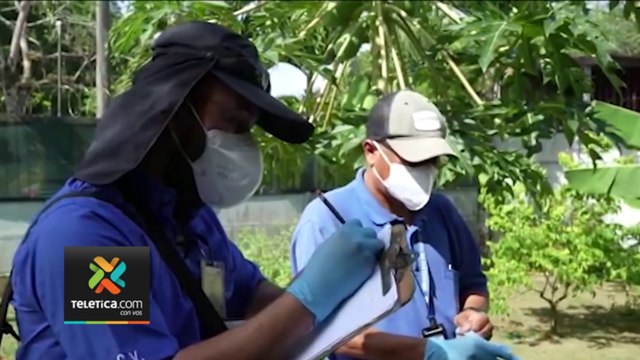tn7-Cifra-de-personas-con-malaria-asciende-a-200-en-Limón-y-Los-Chiles-180423