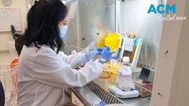 CRISPR advances cancer research in Australia