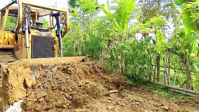 Caterpillar Bulldozer D6R XL Repairs Old Road in the Forest