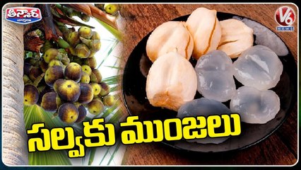 Huge Demand For Ice Apples Due To Summer Heat | Taati Munjalu | V6 Teenmaar