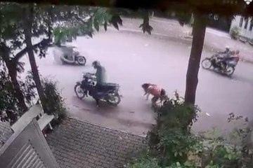 Bắt nghi phạm giật dây chuyền của cụ bà 77 tuổi ở TPHCM