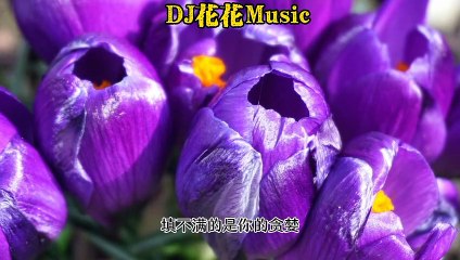 The moon  never came to me & a lot of money