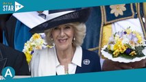 Couronnement de Charles III : les retrouvailles entre Harry et Camilla scrutées de près…