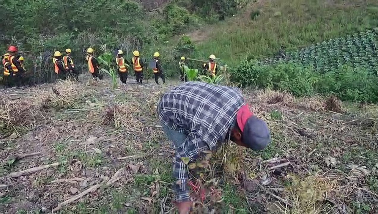 Más de 64.000 hectáreas de bosques quemadas este año en Honduras